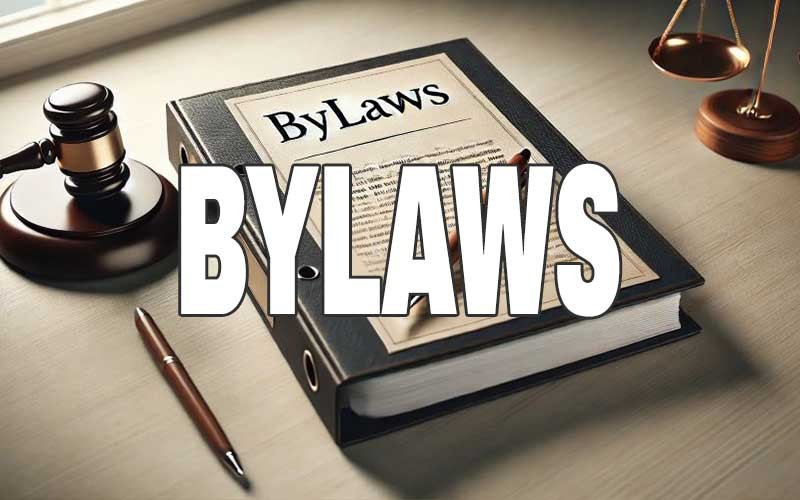 A picture of a folder containing bylaws